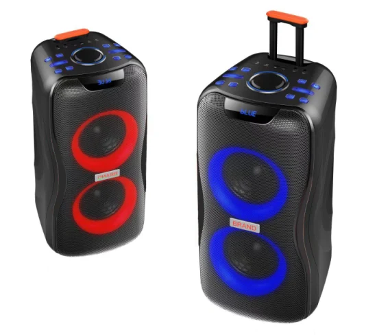 Temeisheng 2022 DJ Box Music MP3 Party Sound Box 100 Вт Профессиональный портативный аудио беспроводной Bluetooth PRO динамик с микрофоном